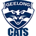 Geelong Cats AFL