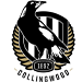 Collingwood Magpies AFL